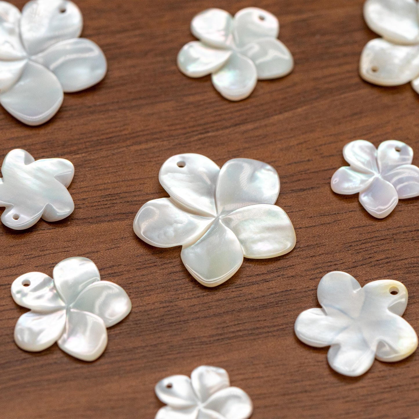 10pcs White Mother of Pearl Flowers 14/ 17/ 24mm, Top Side Drilled, Shell Plumeria Flowers for Earrings -(V1164)