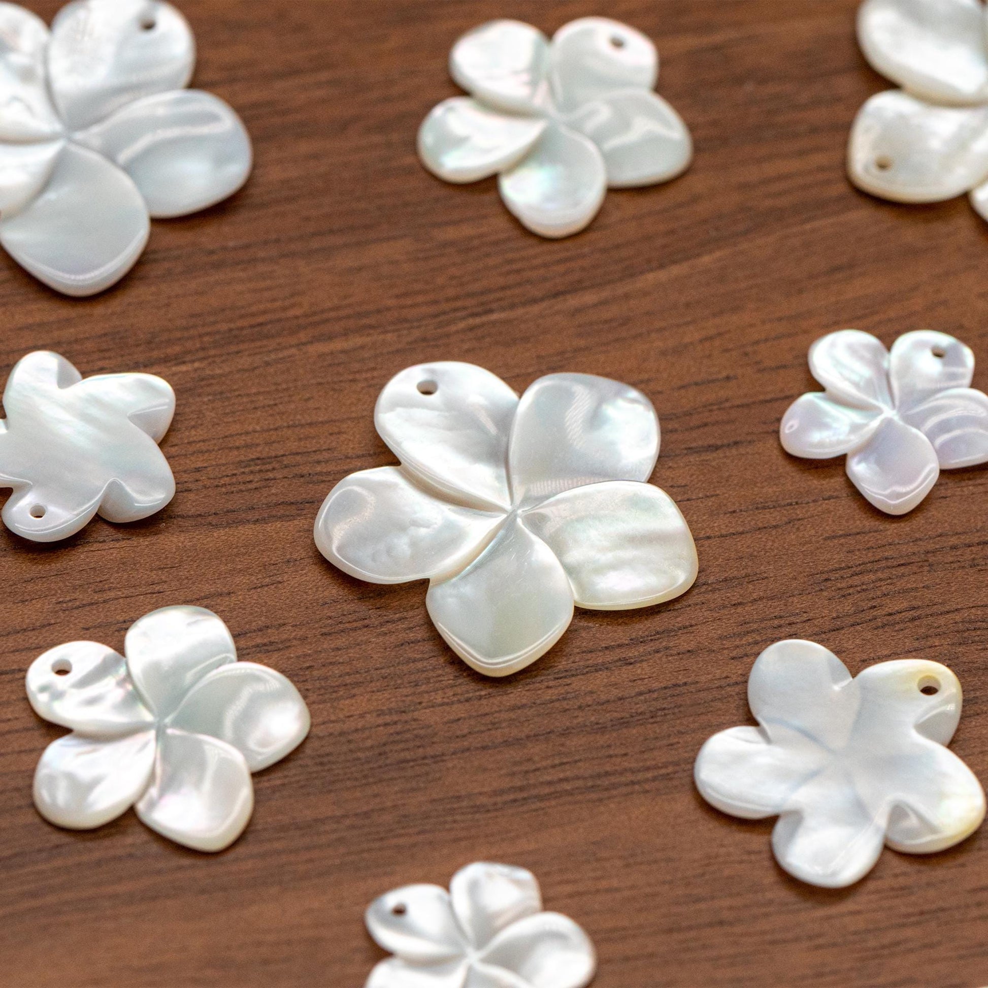 10pcs White Mother of Pearl Flowers 14/ 17/ 24mm, Top Side Drilled, Shell Plumeria Flowers for Earrings -(BK-016)
