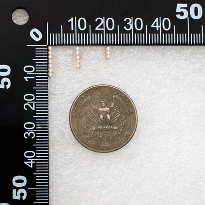 10pcs Faux Pearl Pave Gold Bar Earrings, Gold Plated Brass Tiny Pearl Stud Earring (#GB-4594)