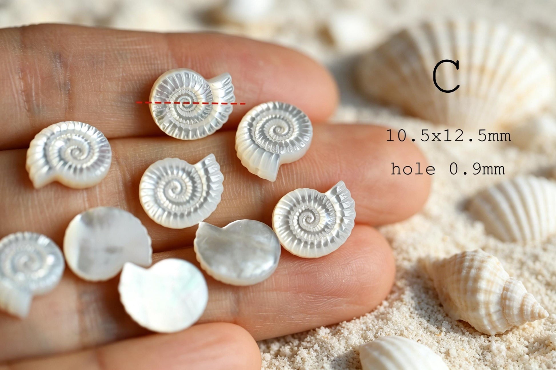 4pcs Single-Sided Carved Shell Beads, Mother of Pearl Animal & Sea Shapes for DIY Bracelet, Handmade Jewelry (BK-006)